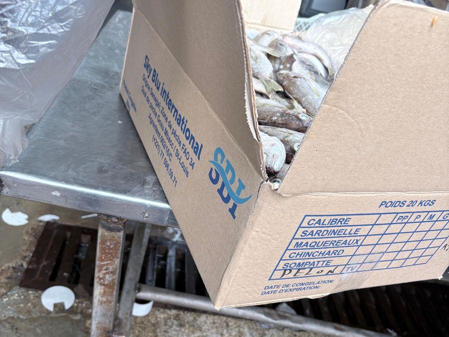 Sky Blu International export carton: origin Senegal, FAO 34 zone, 20 kg net, grading boxes and freezing dates