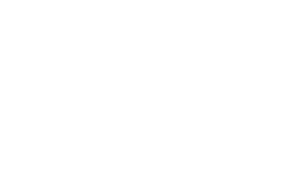 Sky Blu International